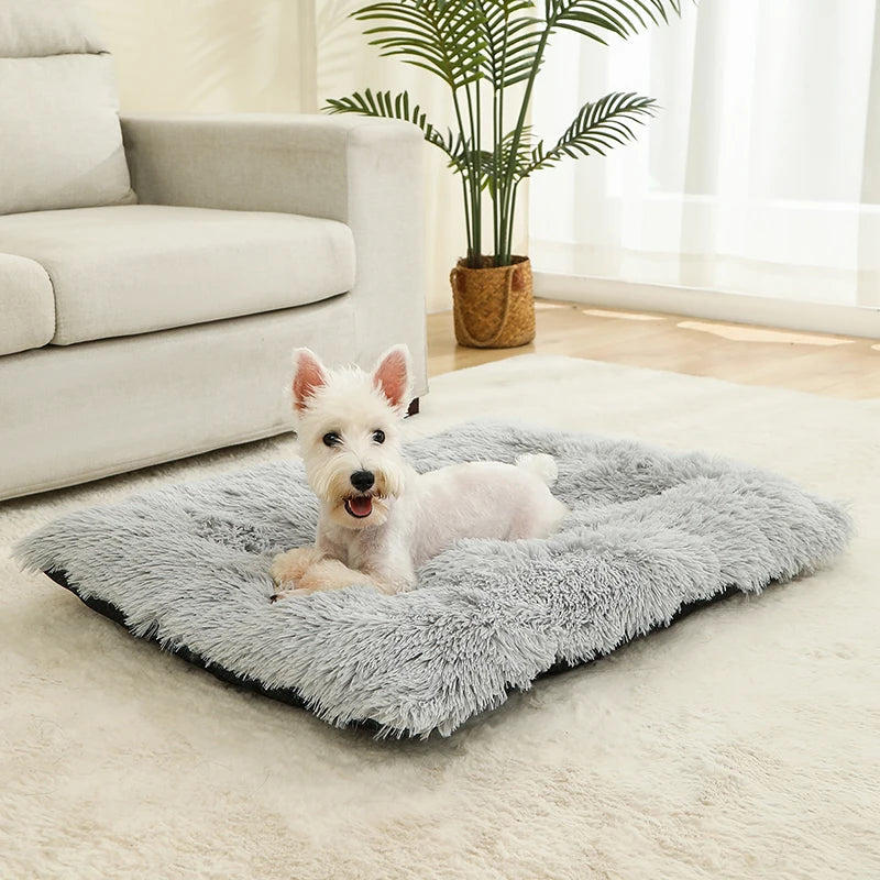 Soft Long Plush Dog Bed - Premium Pet Sleeping Sofa & Basket