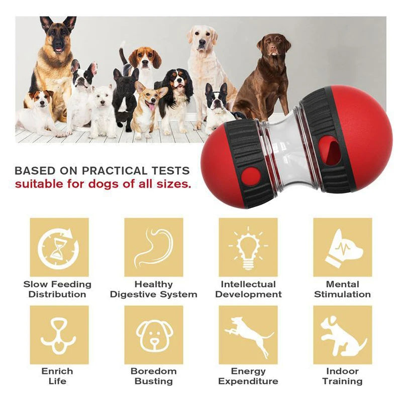 Dog IQ Training Puzzle Feeder - Smart Interactive Brain Game