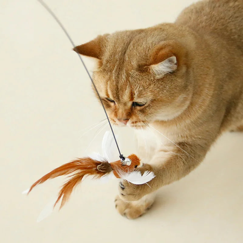 Hands-Free Cat Wand - Bird Feather Toy with Suction Cup & Bell