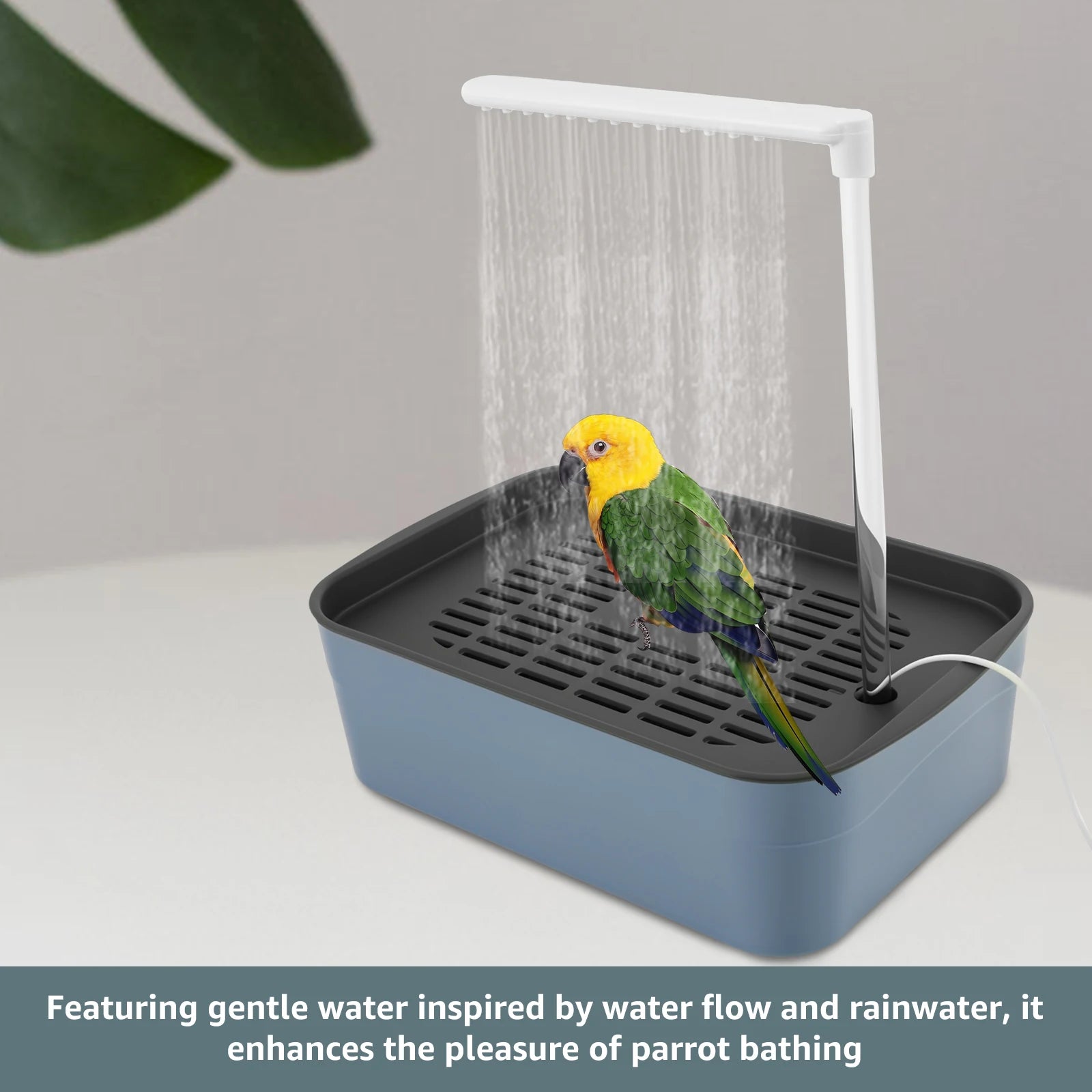 Automatic Bird Bath Fountain - Electric Spa for Parrots & Birds