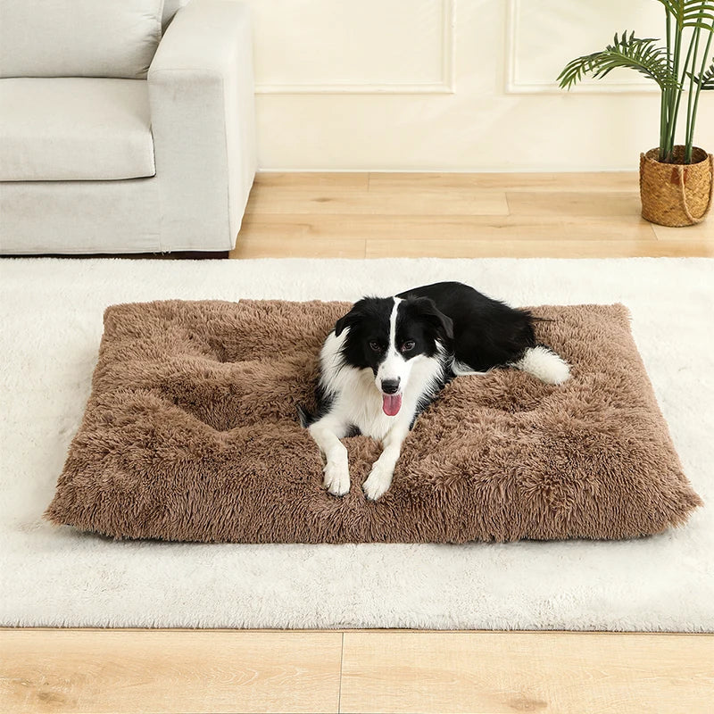 Soft Long Plush Dog Bed - Premium Pet Sleeping Sofa & Basket