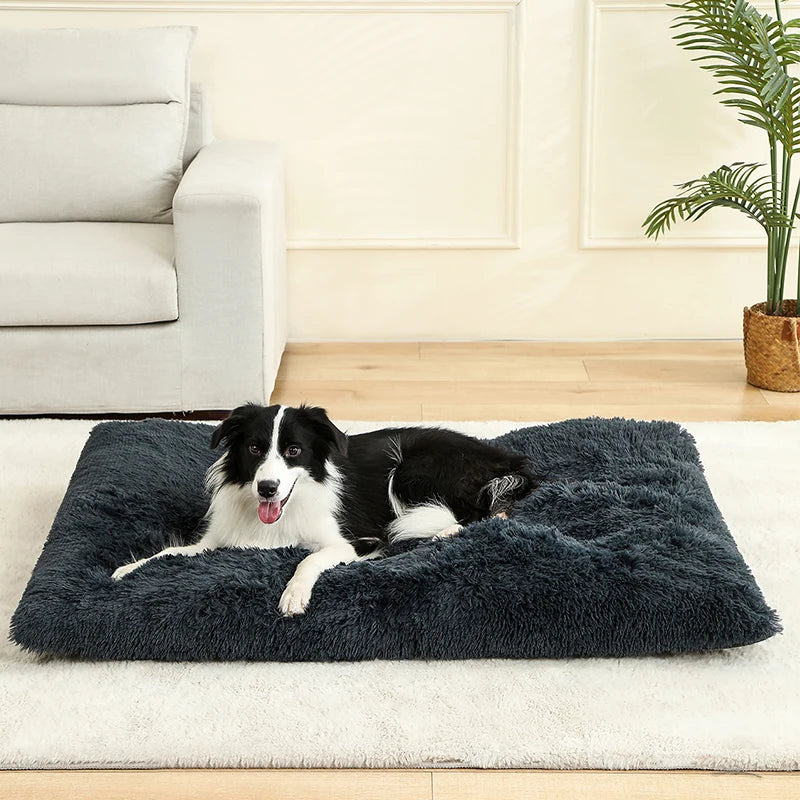 Soft Long Plush Dog Bed - Premium Pet Sleeping Sofa & Basket
