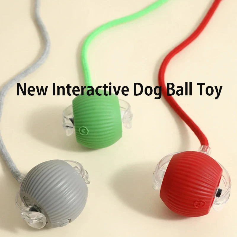 Smart Interactive Dog Ball - Automatic Rolling Rechargeable Toy