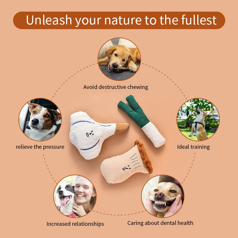 Plush Vegetable Dog Toys - Squeaky Onion, Mushroom & Garlic Set