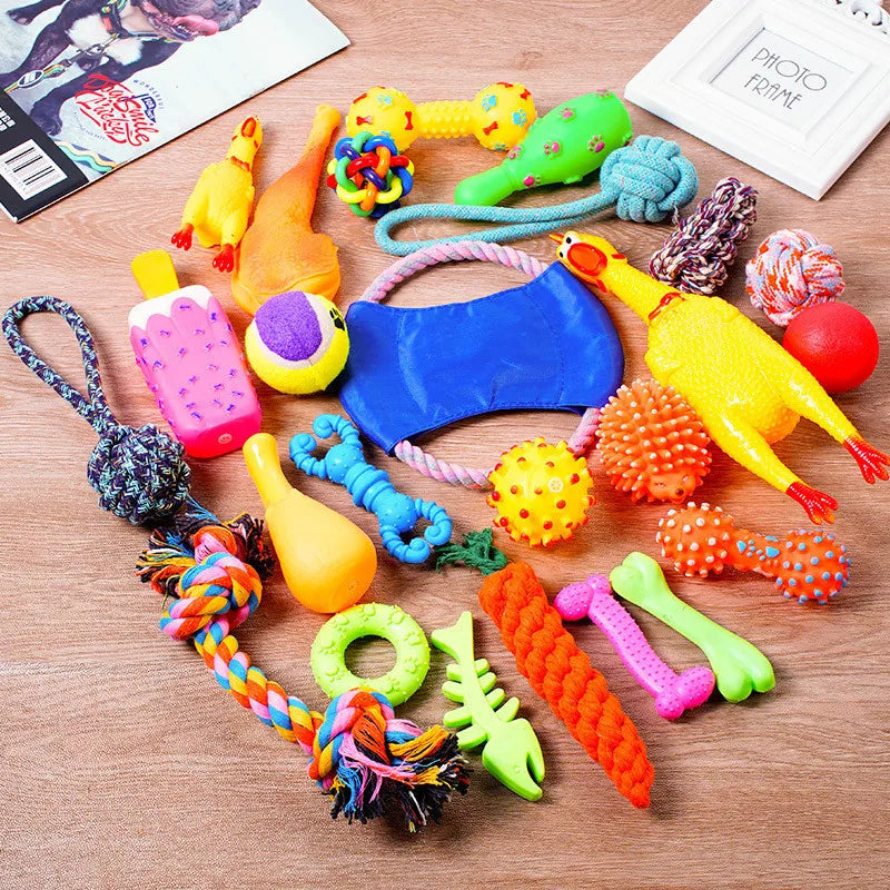 Complete Dog Toy Kit - Ball, Bone, Rope & Squeaky Plush Set