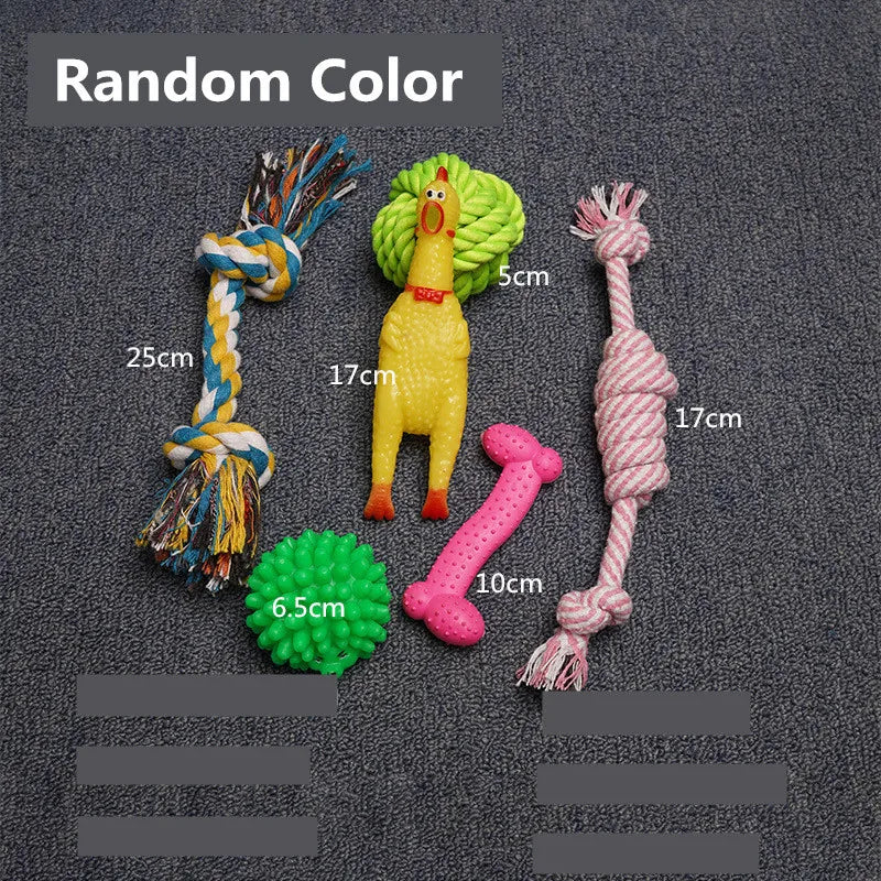 Complete Dog Toy Kit - Ball, Bone, Rope & Squeaky Plush Set