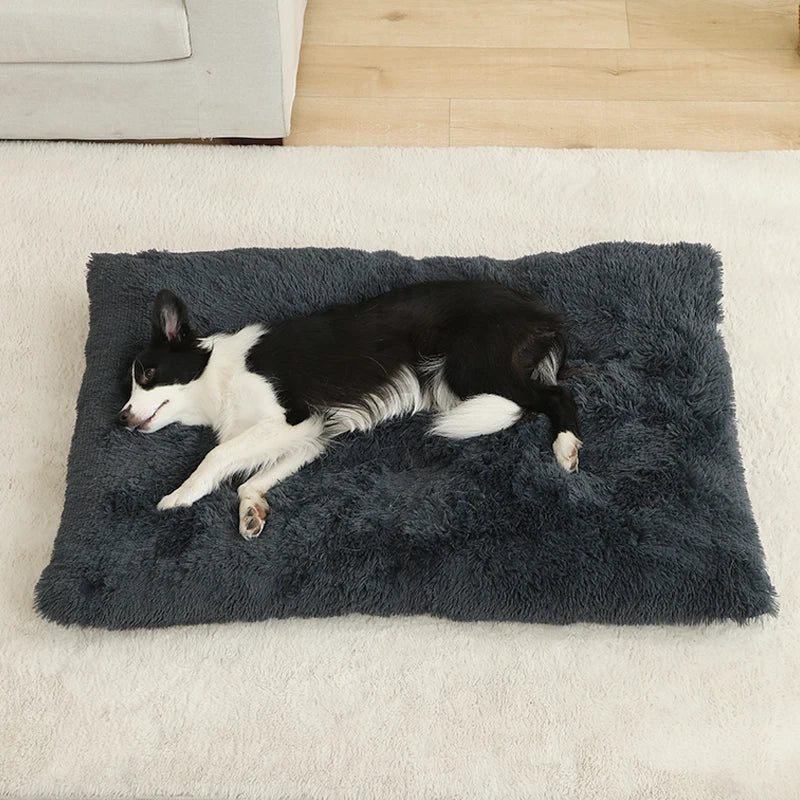 Soft Long Plush Dog Bed - Premium Pet Sleeping Sofa & Basket
