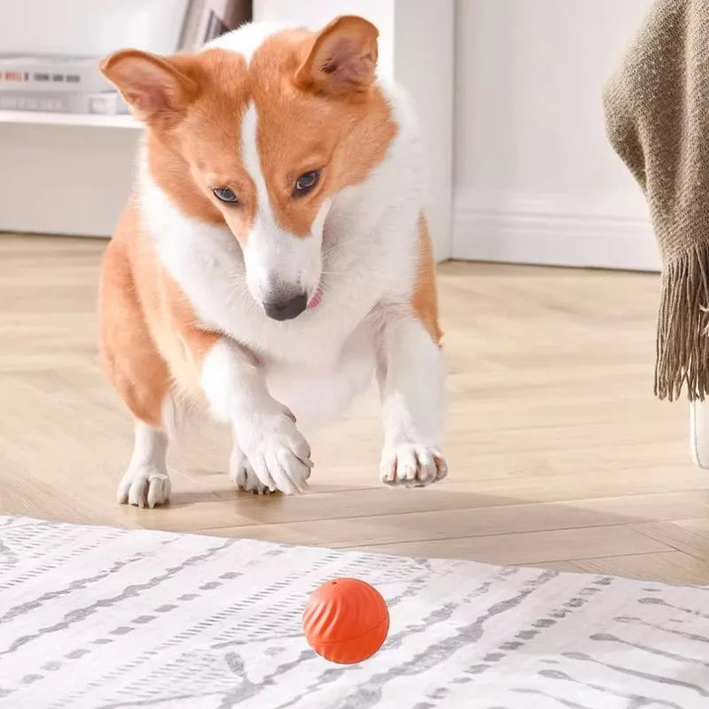 Smart Automatic Dog Toy Ball - USB Jumping & Rotating Interactive Ball