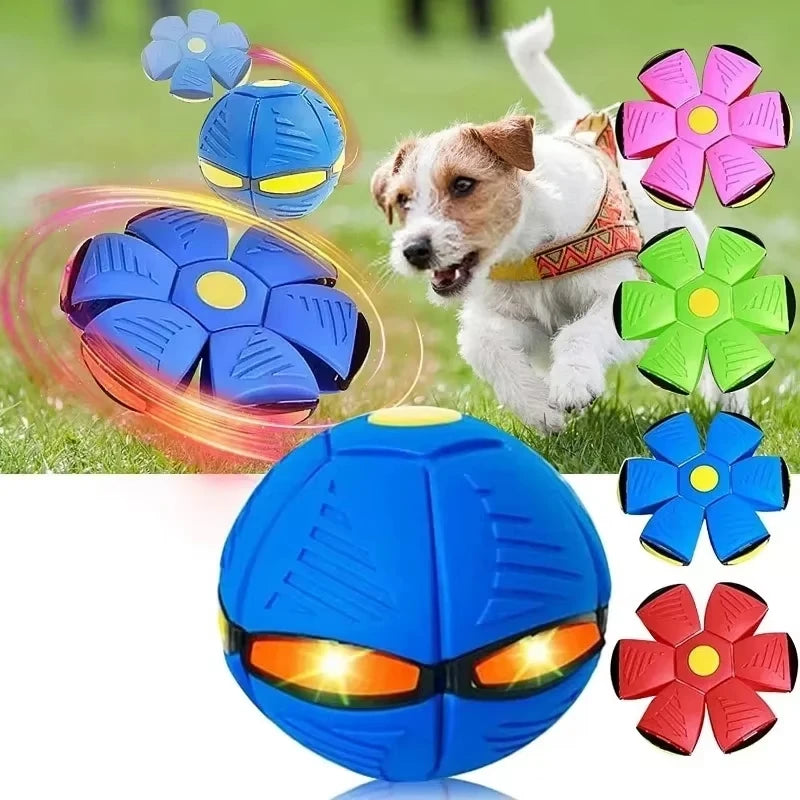 Magic Flying Saucer Ball - Transforming Interactive Pet Toy