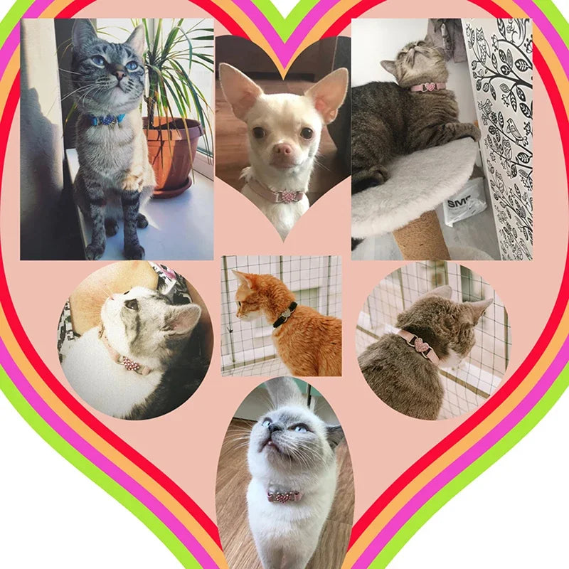 Heart Charm Cat Collar - Safety Elastic with Bell & Soft Velvet (8 Colors)