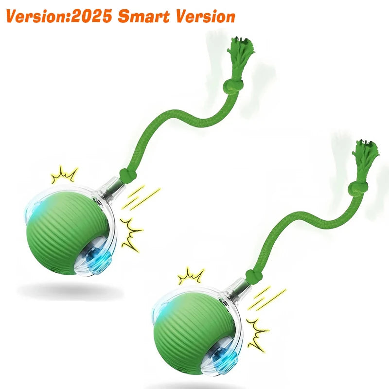 Smart Interactive Dog Ball - Automatic Rolling Rechargeable Toy
