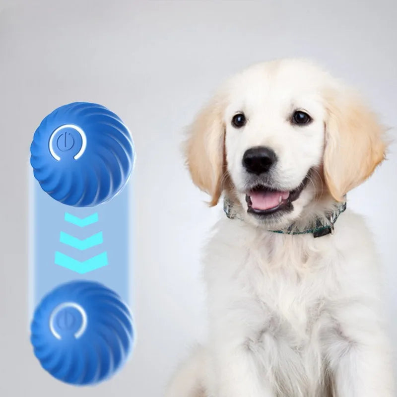 Smart Automatic Dog Toy Ball - USB Jumping & Rotating Interactive Ball