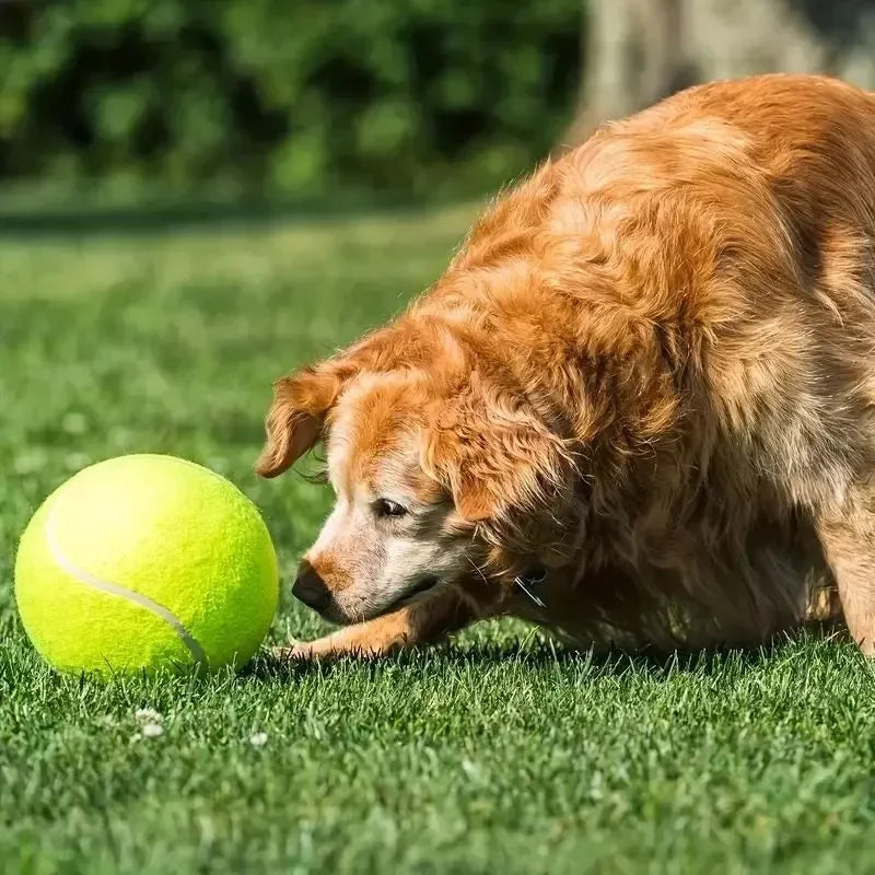 Giant Inflatable Tennis Ball - 7/9.5 Inch with Air Pump