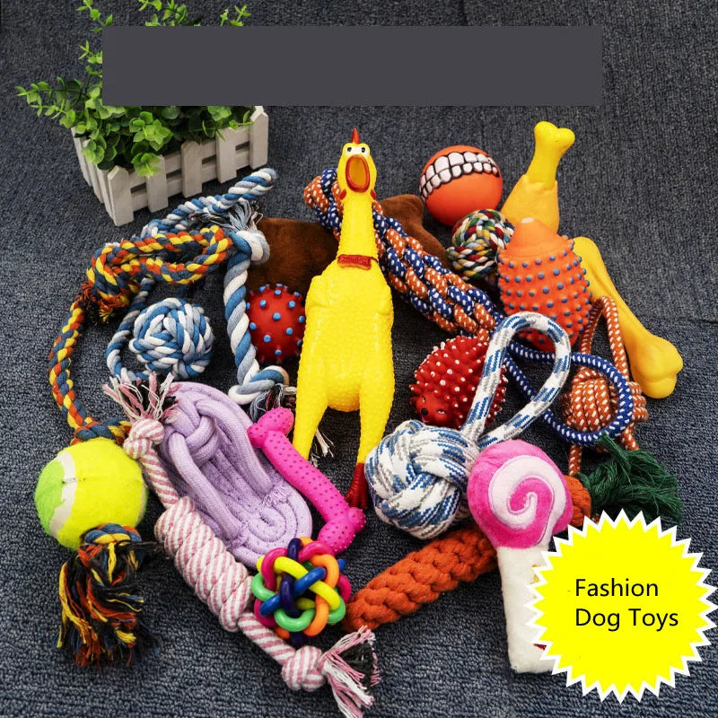 Complete Dog Toy Kit - Ball, Bone, Rope & Squeaky Plush Set