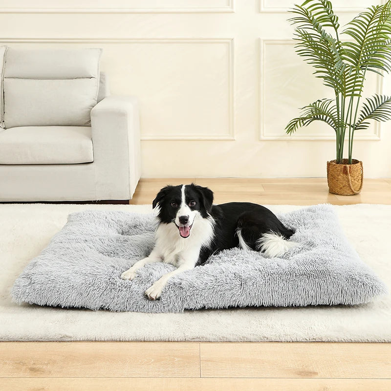 Soft Long Plush Dog Bed - Premium Pet Sleeping Sofa & Basket