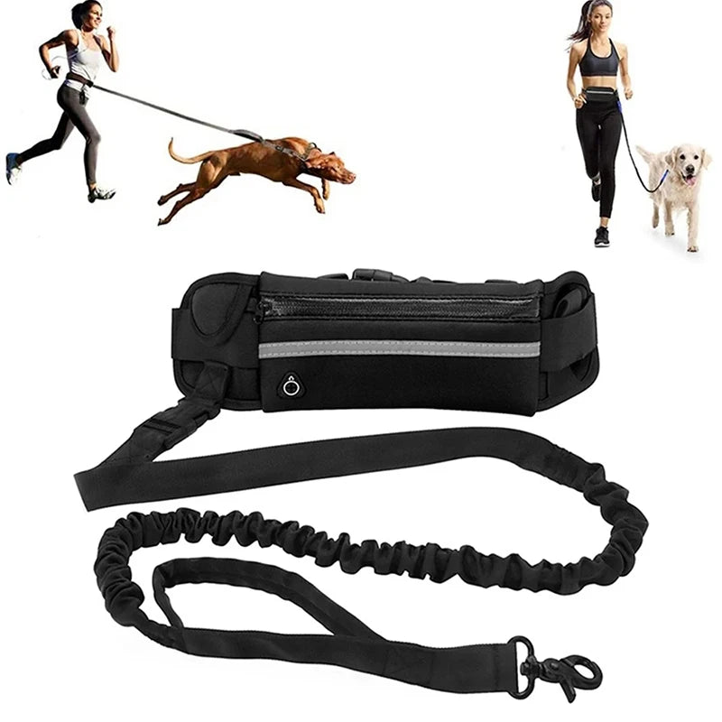 Hands Free Dog Leash - Running Walking Reflective with Waist Bag