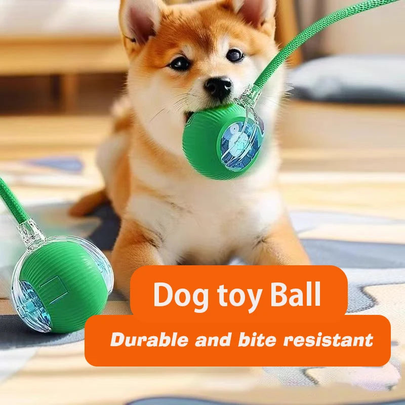 Smart Interactive Dog Ball - Automatic Rolling Rechargeable Toy