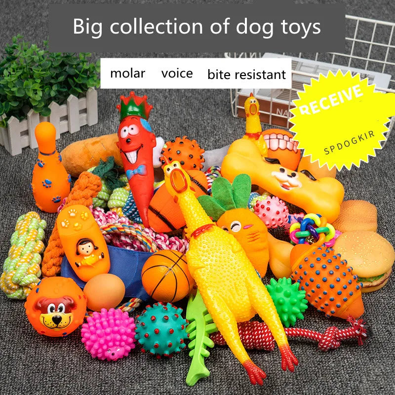 Complete Dog Toy Kit - Ball, Bone, Rope & Squeaky Plush Set