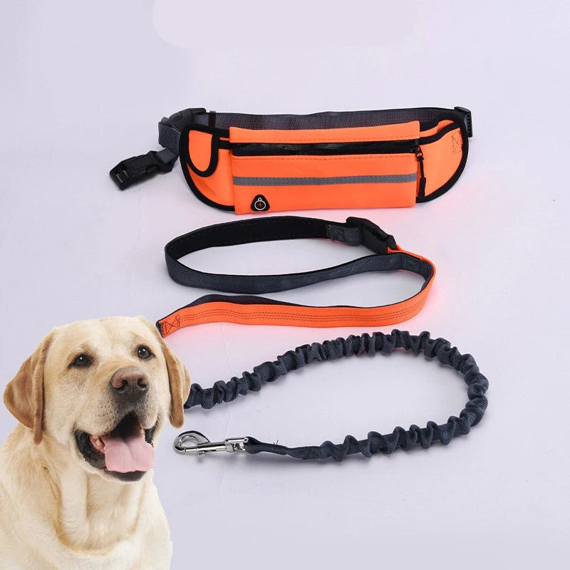 Hands Free Dog Leash - Running Walking Reflective with Waist Bag