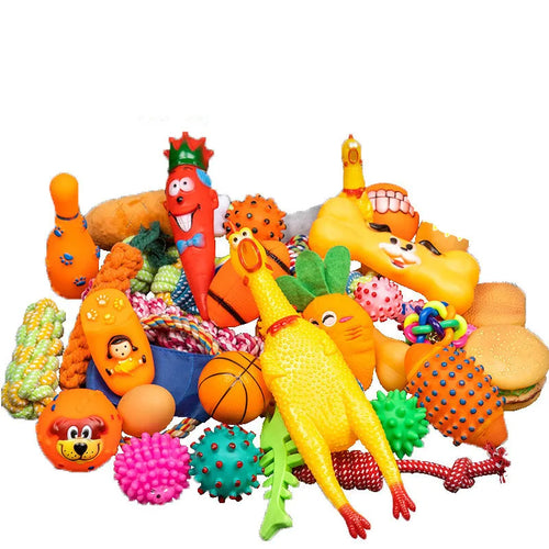 Complete Dog Toy Kit - Ball, Bone, Rope & Squeaky Plush Set