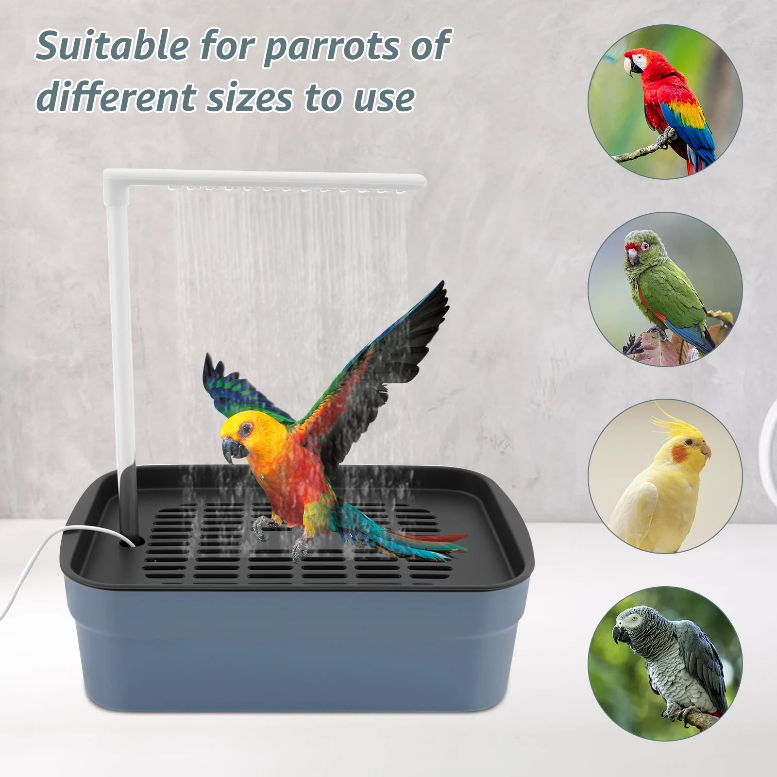 Automatic Bird Bath Fountain - Electric Spa for Parrots & Birds