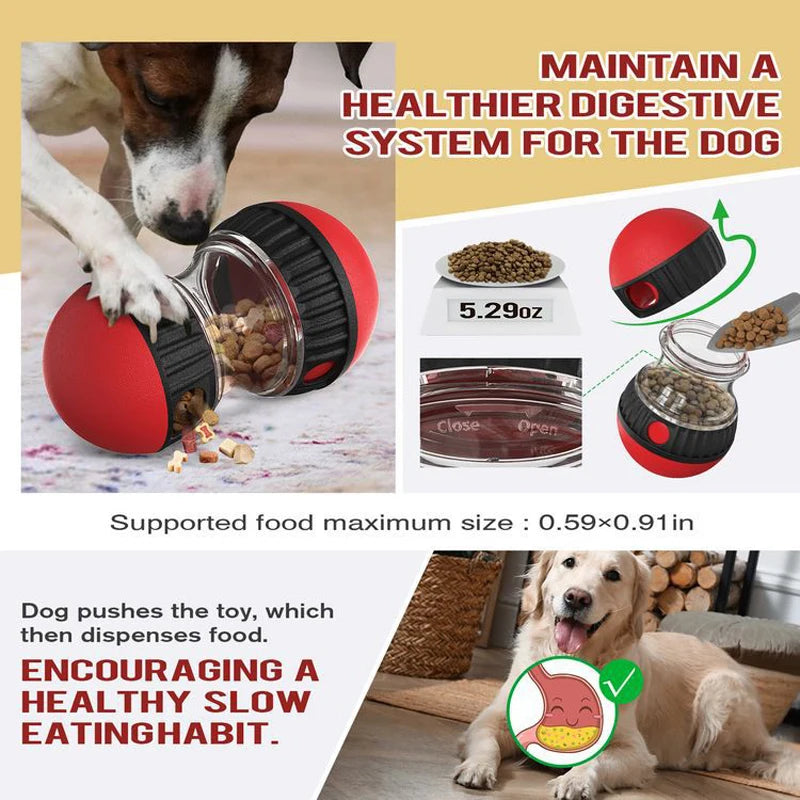 Dog IQ Training Puzzle Feeder - Smart Interactive Brain Game