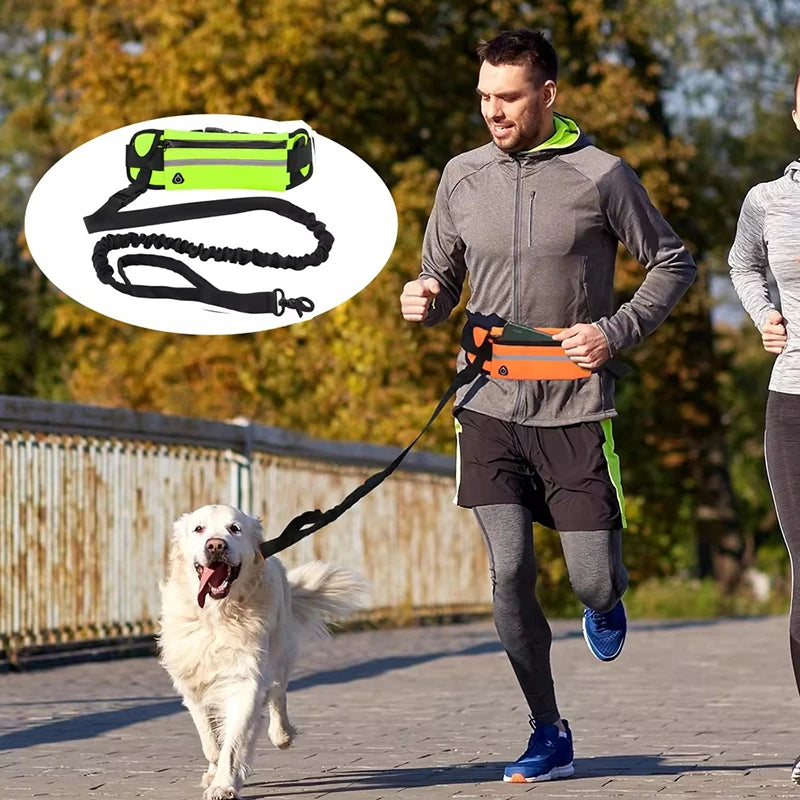 Hands Free Dog Leash - Running Walking Reflective with Waist Bag