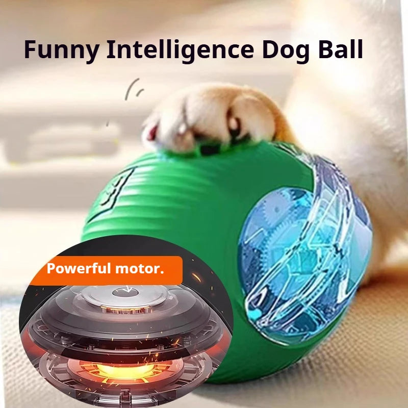 Smart Interactive Dog Ball - Automatic Rolling Rechargeable Toy