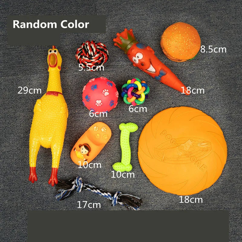 Complete Dog Toy Kit - Ball, Bone, Rope & Squeaky Plush Set