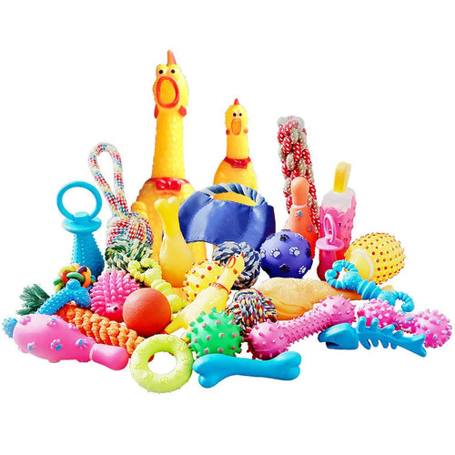 Complete Dog Toy Kit - Ball, Bone, Rope & Squeaky Plush Set