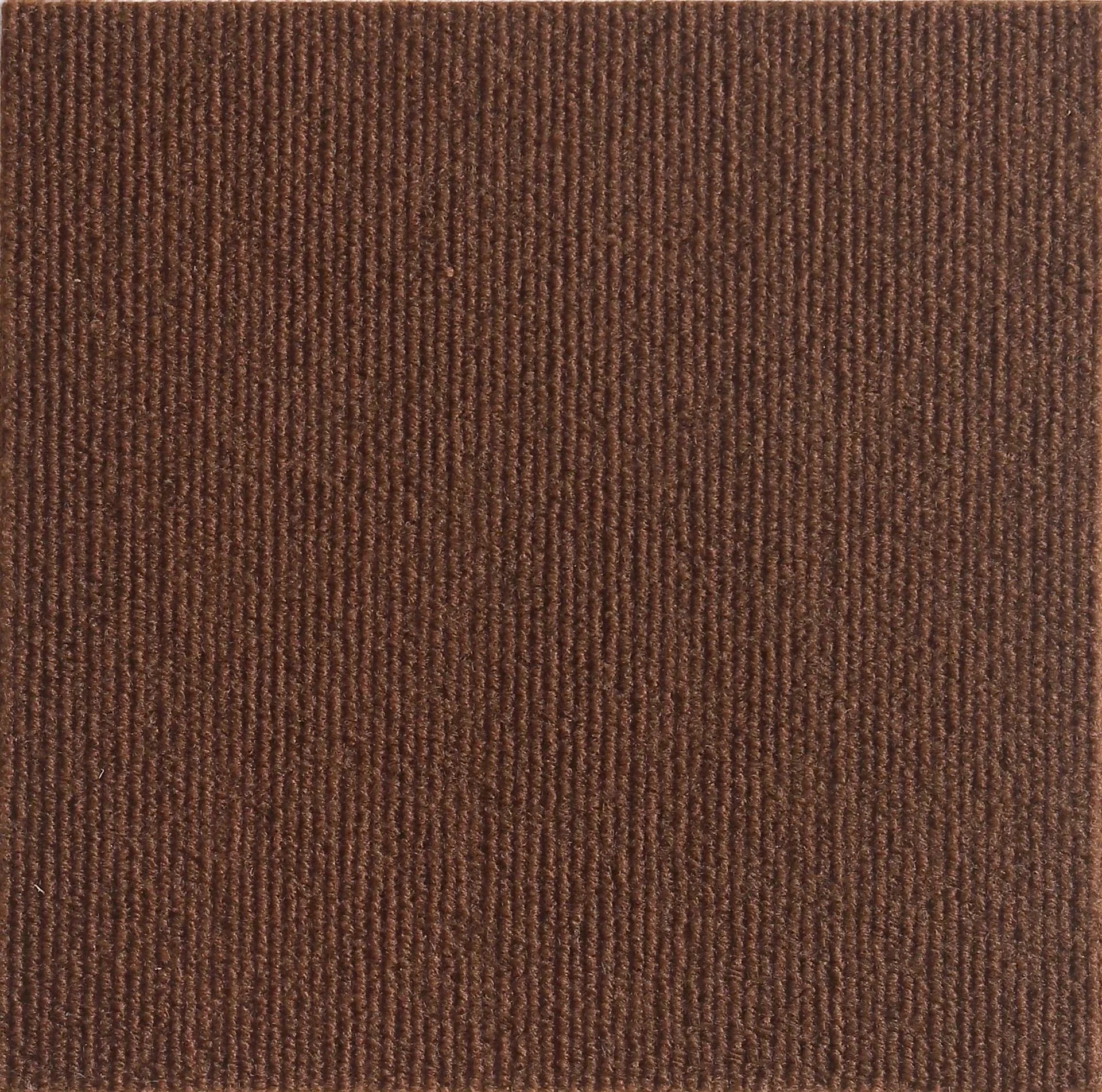 Cat Scratching Mat - Self-Adhesive Furniture Protector & Scratcher