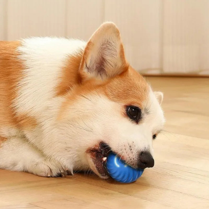 Smart Automatic Dog Toy Ball - USB Jumping & Rotating Interactive Ball