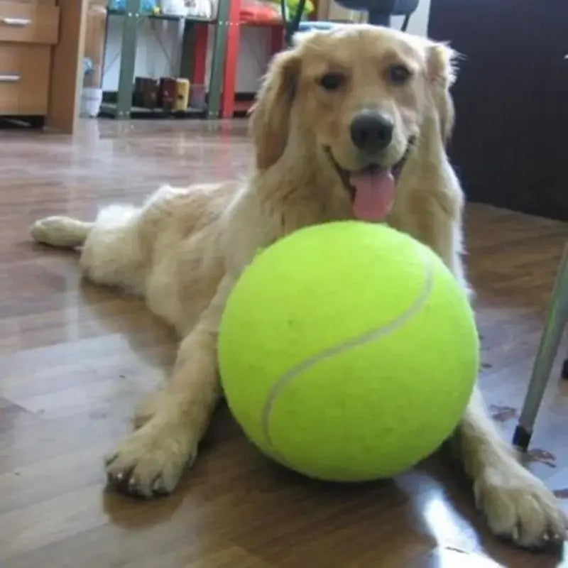 Giant Dog Tennis Ball - Mega Jumbo 9.5" for Large Dogs