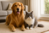 Realistic pets in 1280x720 - golden retriever and gray cat